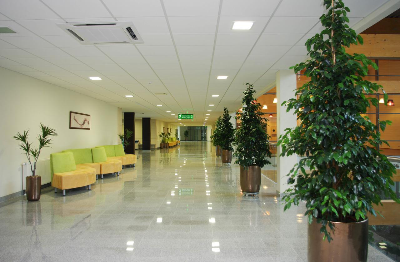 מלון Medical Spa "Egles Sanatorija" Comfort דרוסקינינקאי מראה חיצוני תמונה